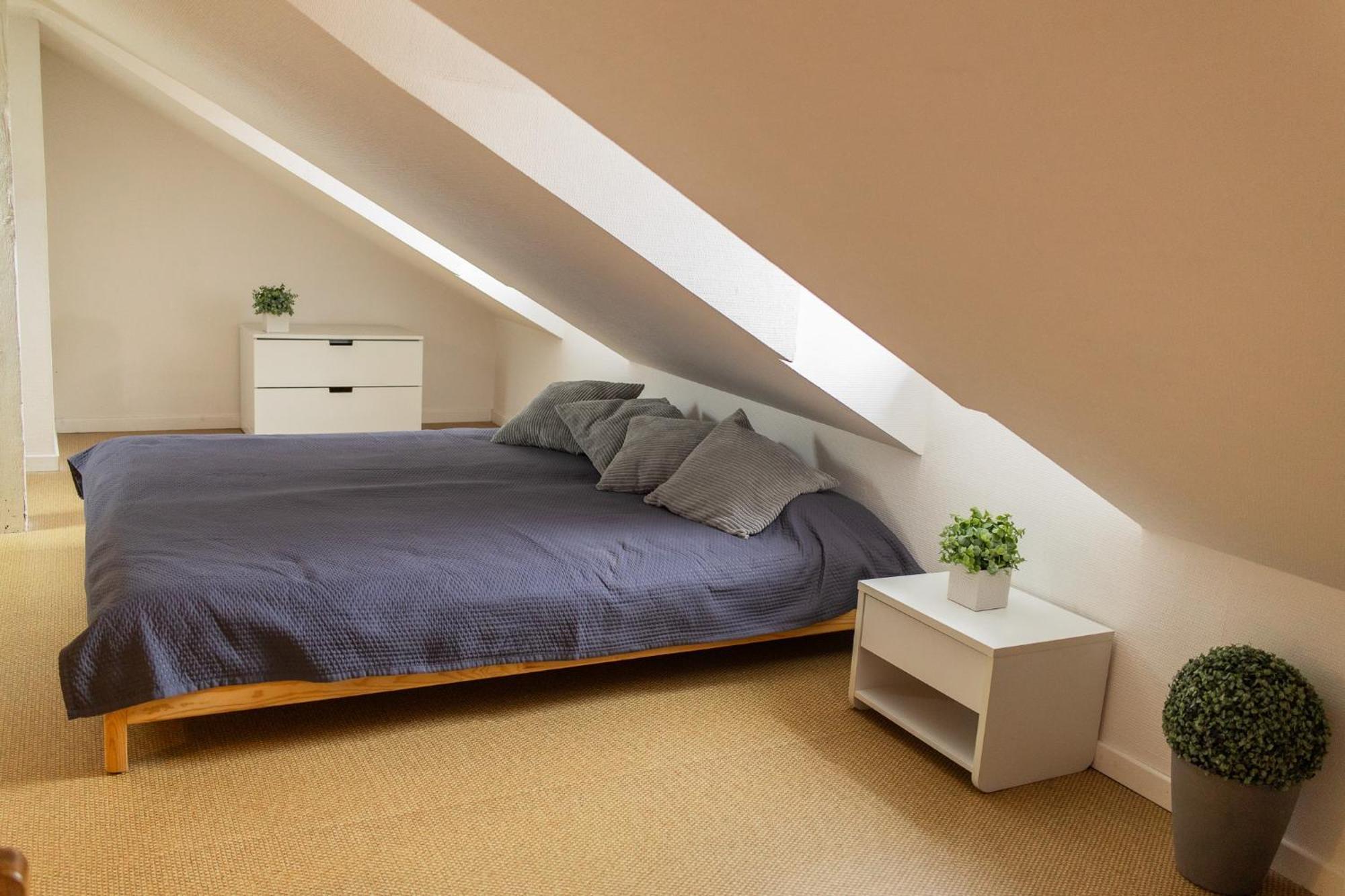 City Center Duplex Loft Кольмар Экстерьер фото